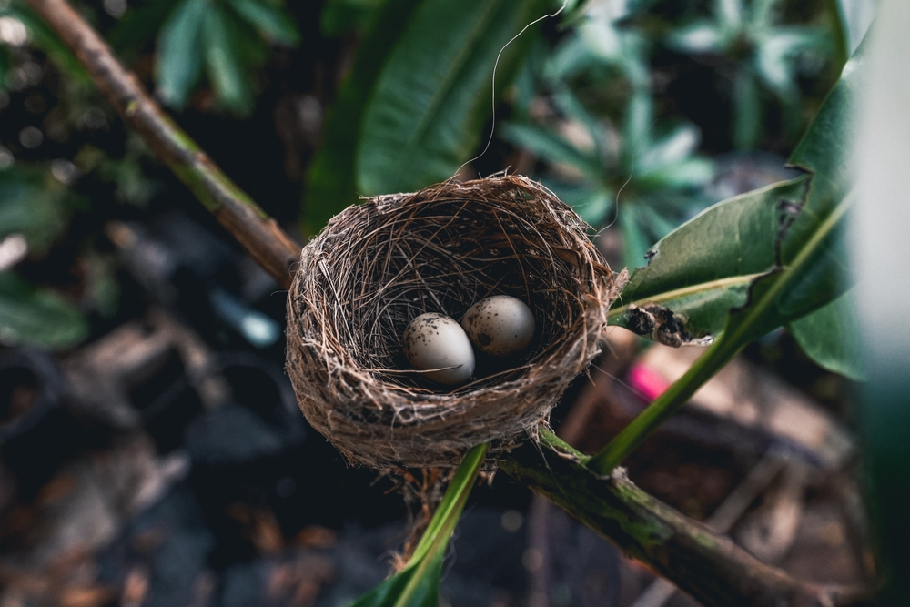 Securing Your Nest Egg: Mastering Your Retirement Investment Buckets